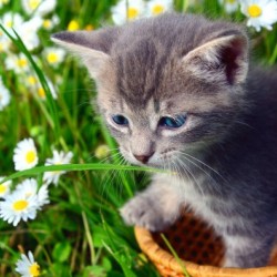 Smell the grass
